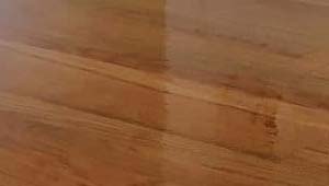 Shiny Hard Wood Floor