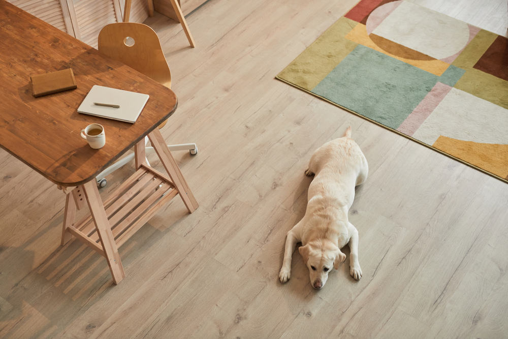 dog laying on hardwood floor